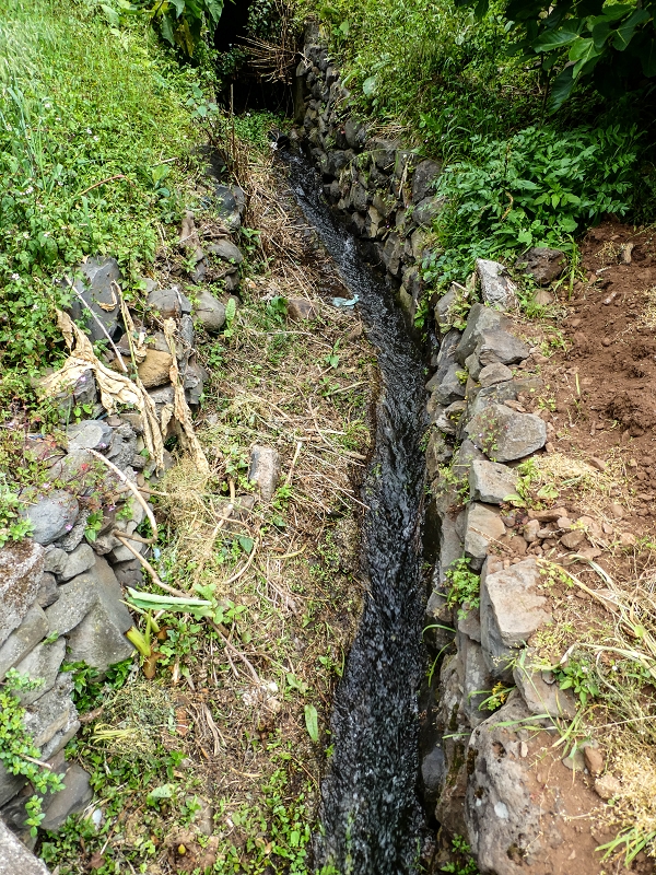 Levada do Desembarcadouro — Abschnitt 3 — Foto 2