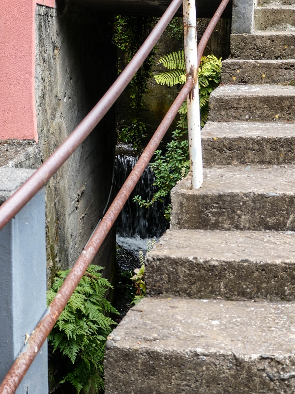 Levada do Desembarcadouro — Abschnitt 3 — Foto 1