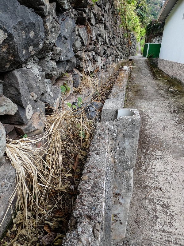 Levada do Desembarcadouro — Abschnitt 2 — Foto 1