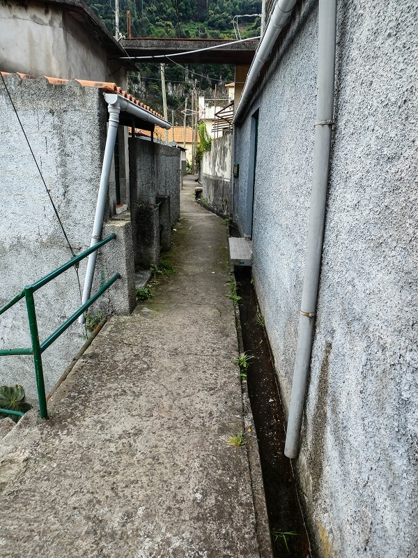 7 May 2019 Circular walk on two levadas around Machico — From the first outflow to the Madre — photo 2