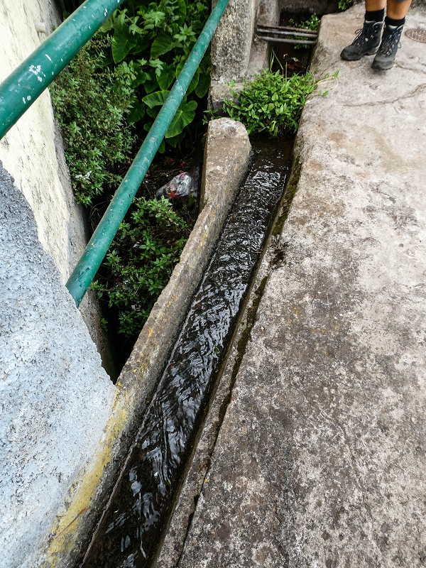 Levada do Desembarcadouro — Abschnitt 1 — Foto 9