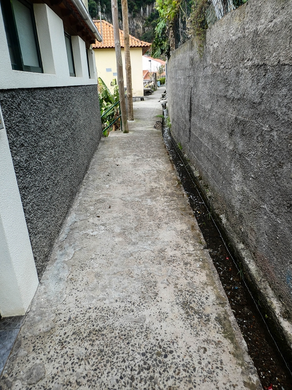 Levada do Desembarcadouro — Abschnitt 1 — Foto 8