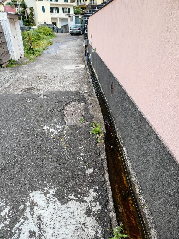 Levada do Desembarcadouro — Abschnitt 1 — Foto 6