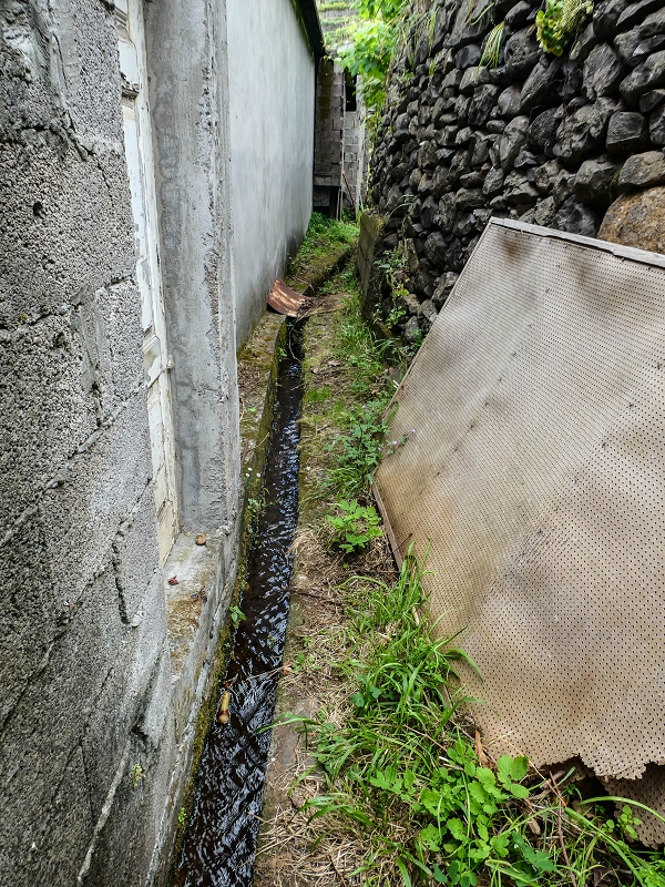 7 May 2019 Circular walk on two levadas around Machico — From the first outflow to the Madre — photo 7