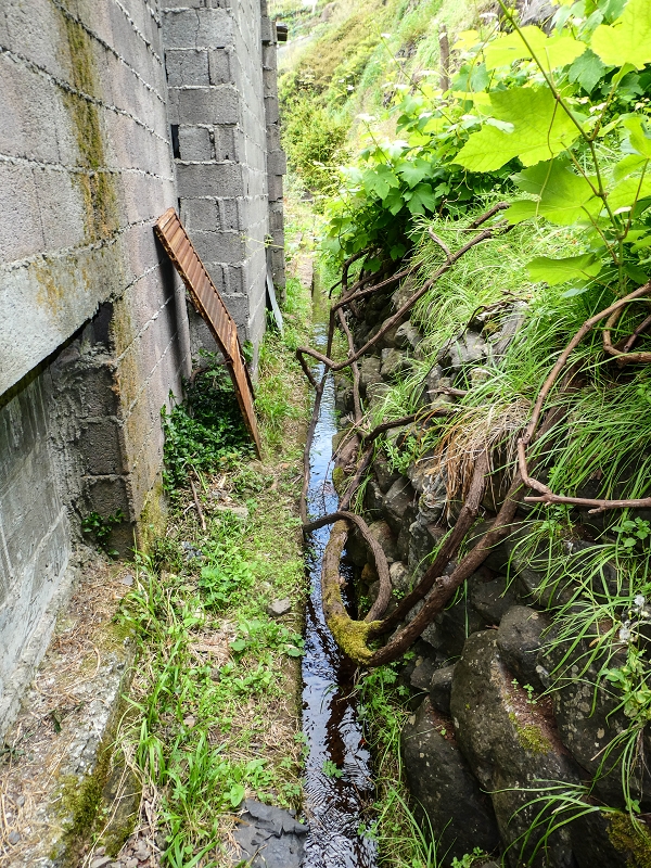 7 May 2019 Circular walk on two levadas around Machico — From the first outflow to the Madre — photo 8