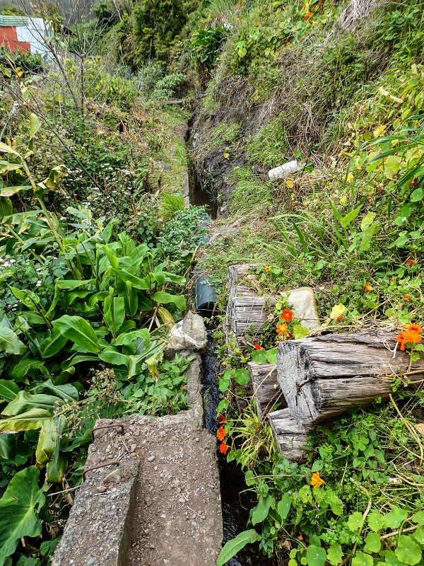 Levada do Desembarcadouro — Abschnitt 1 — Foto 4