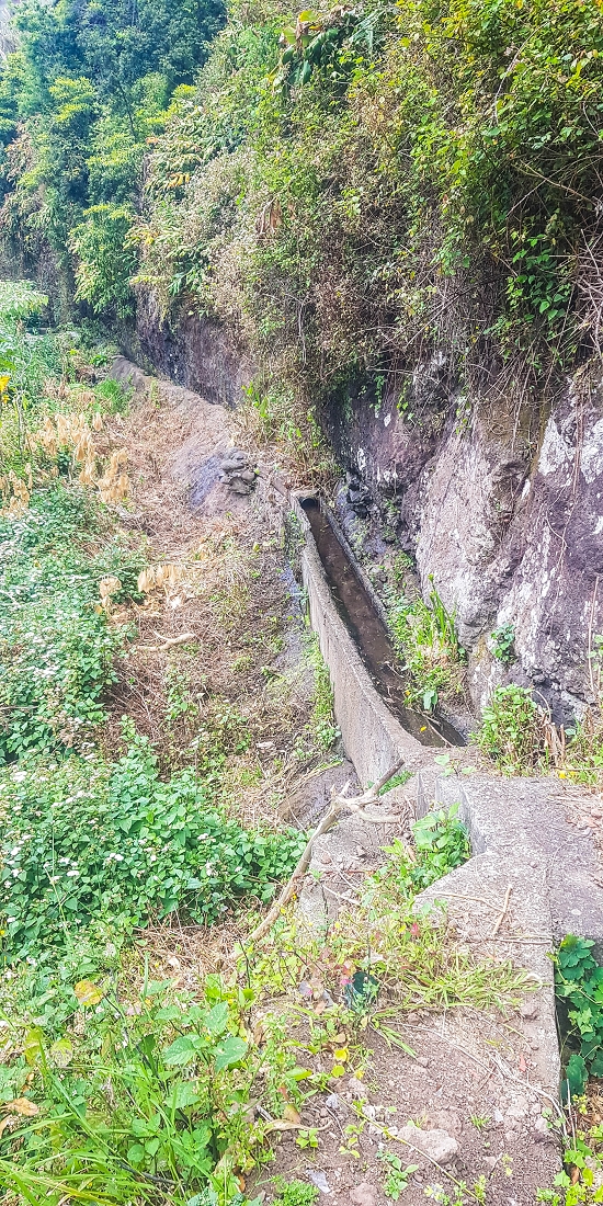 7 May 2019 Circular walk on two levadas around Machico — From the first outflow to the Madre — photo 10