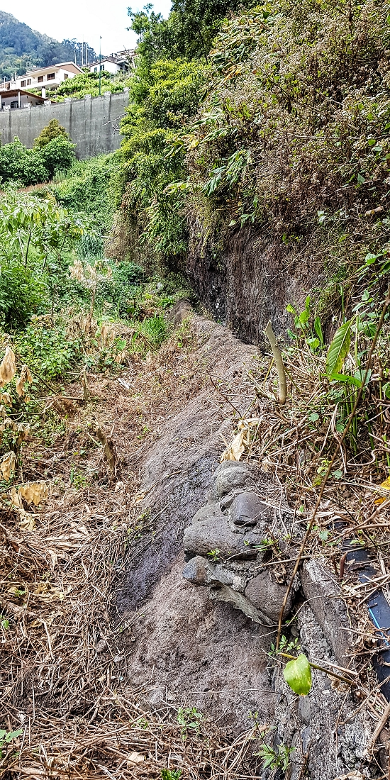 Levada do Desembarcadouro — Abschnitt 1 — Foto 3