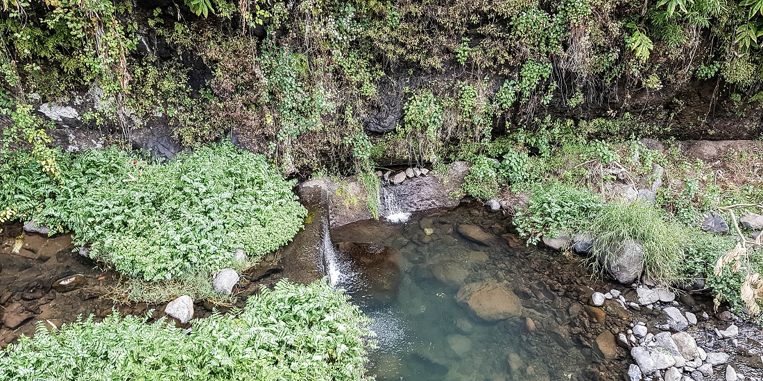 Levada do Desembarcadouro — Abschnitt 1 — Foto 1