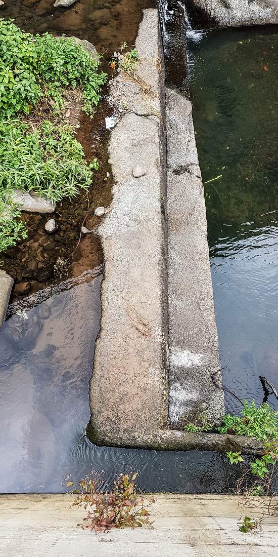 7 May 2019 Circular walk on two levadas around Machico — To the old Madre of the Levada das Figueiras and as far as the first outflow — photo 3