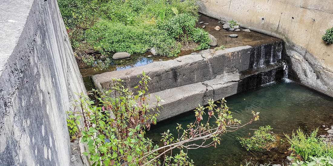 7 May 2019 Circular walk on two levadas around Machico — To the old Madre of the Levada das Figueiras and as far as the first outflow — photo 4