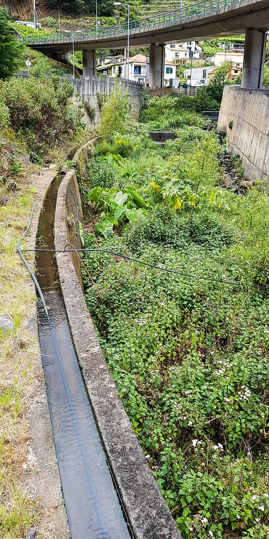 7 May 2019 Circular walk on two levadas around Machico — To the old Madre of the Levada das Figueiras and as far as the first outflow — photo 5