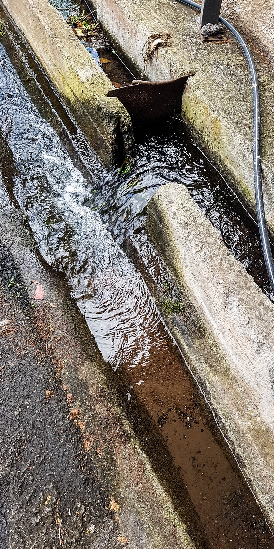 7 May 2019 Circular walk on two levadas around Machico — To the old Madre of the Levada das Figueiras and as far as the first outflow — photo 7