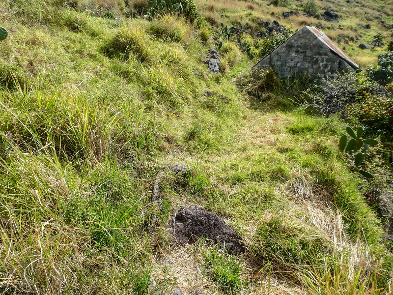 Levada do Desembarcadouro — Abschnitt 5 — Foto 3