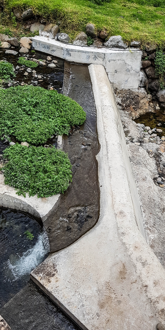 7 May 2019 Circular walk on two levadas around Machico — The new Madre of the Levada das Figueiras and the first metres beside the road — photo 2