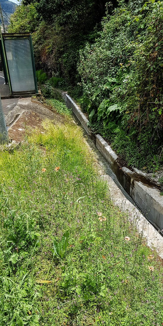 7 May 2019 Circular walk on two levadas around Machico — The new Madre of the Levada das Figueiras and the first metres beside the road — photo 5