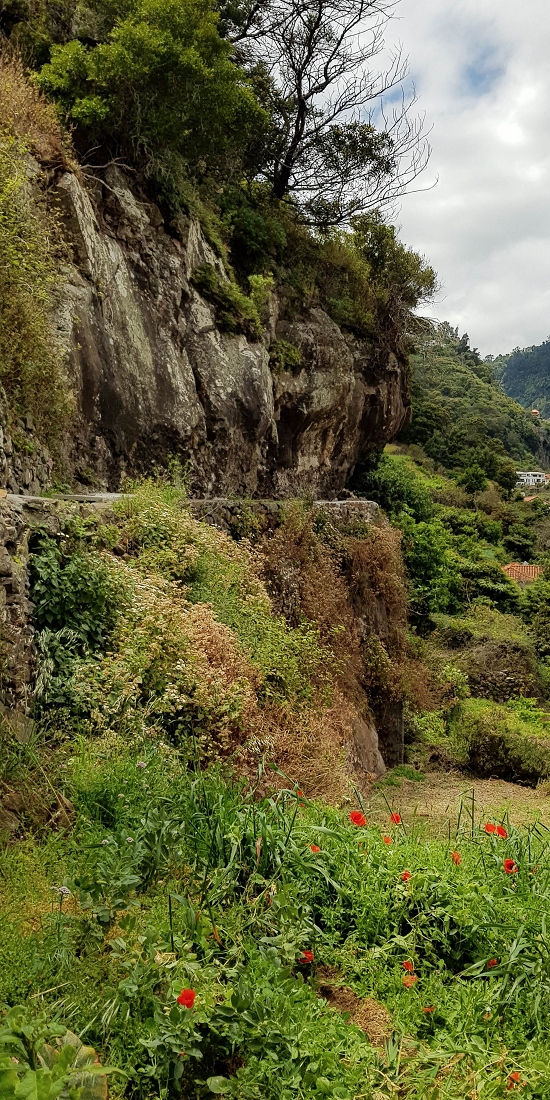 7 May 2019 Circular walk on two levadas around Machico — Exposed section as far as the tunnel portal — photo 11