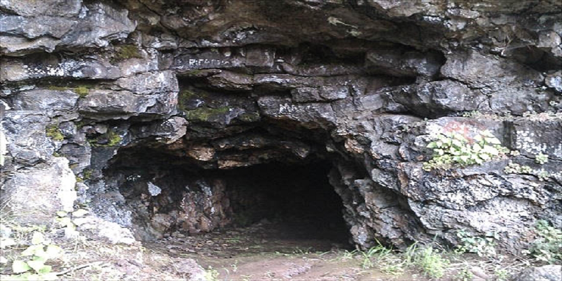 7 May 2019 Circular walk on two levadas around Machico — Furnas do Cavalum — photo 2