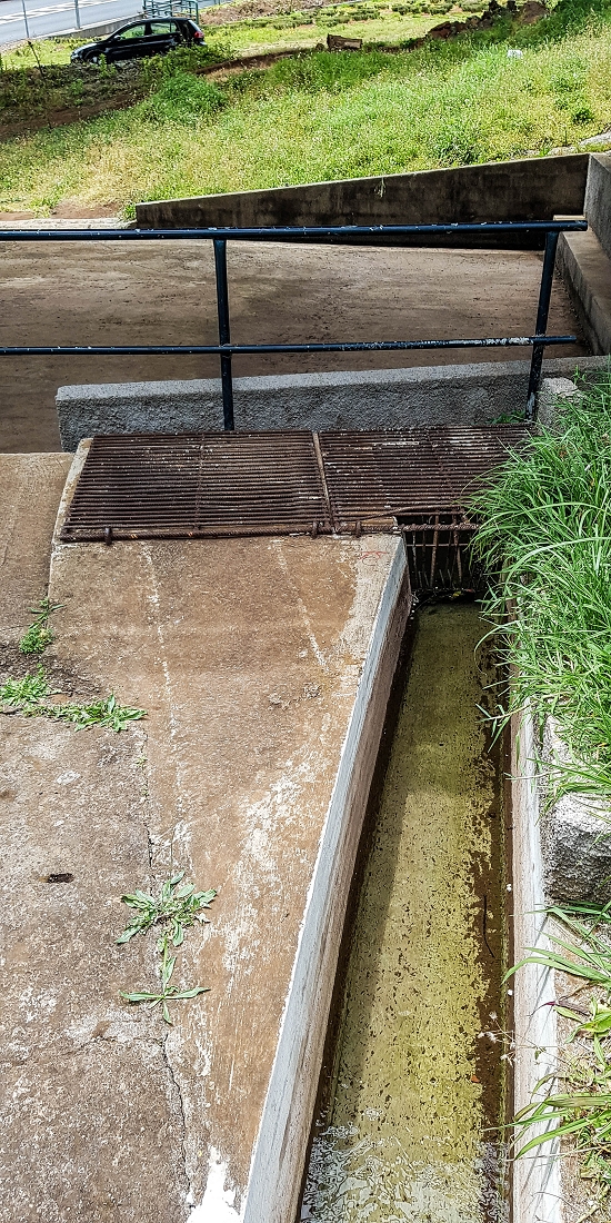 7 May 2019 Circular walk on two levadas around Machico — Back to the Levada das Figueiras — photo 8