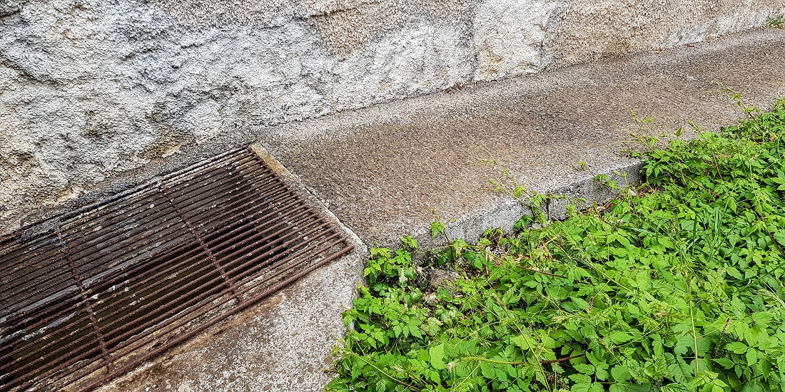 7 May 2019 Circular walk on two levadas around Machico — Back to the Levada das Figueiras — photo 11