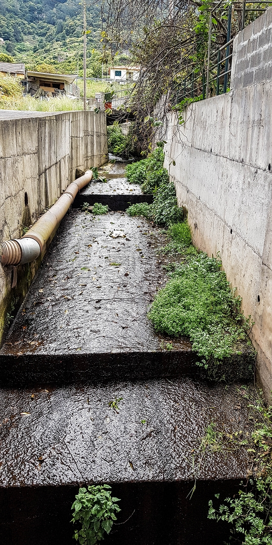 7 May 2019 Circular walk on two levadas around Machico — Back to the Levada das Figueiras — photo 14