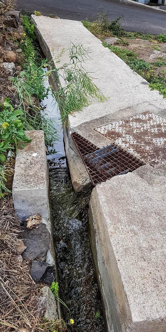 7 May 2019 Circular walk on two levadas around Machico — Back to the Levada das Figueiras — photo 15