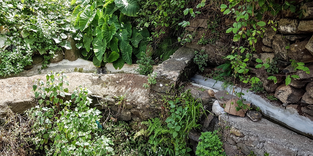 7 May 2019 Circular walk on two levadas around Machico — Back to the Levada das Figueiras — photo 17