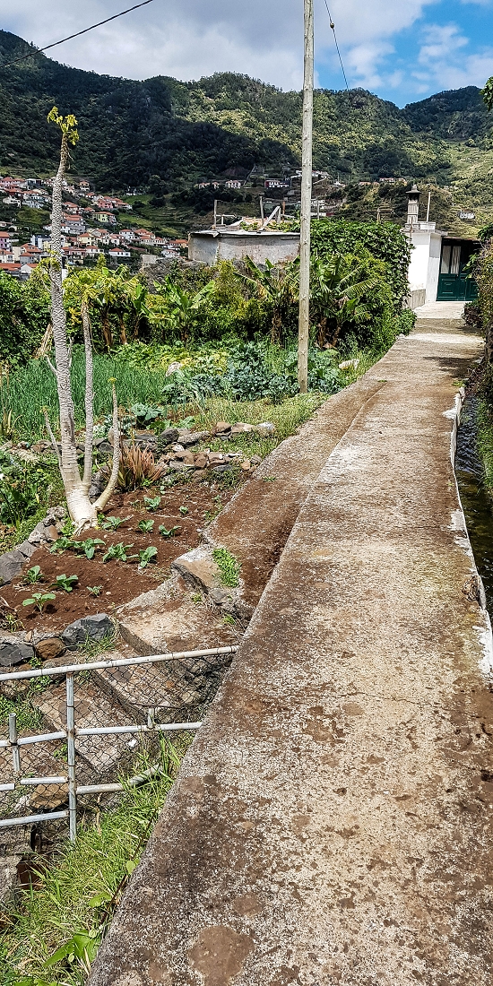 7 May 2019 Circular walk on two levadas around Machico — Back to the Levada das Figueiras — photo 18