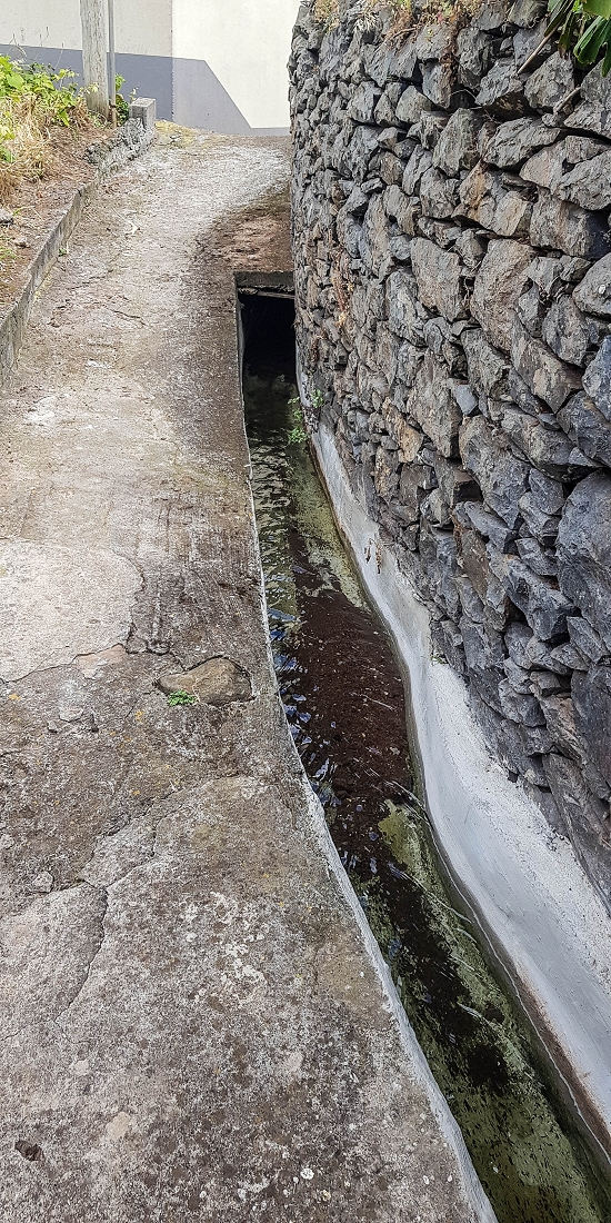 7 May 2019 Circular walk on two levadas around Machico — Back to the Levada das Figueiras — photo 20