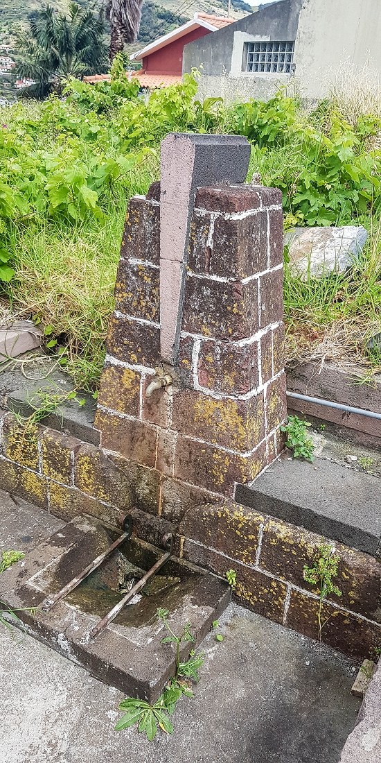 7 May 2019 Circular walk on two levadas around Machico — Back to the Levada das Figueiras — photo 21
