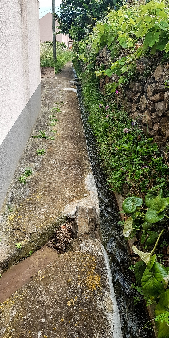 7 May 2019 Circular walk on two levadas around Machico — Back to the Levada das Figueiras — photo 22