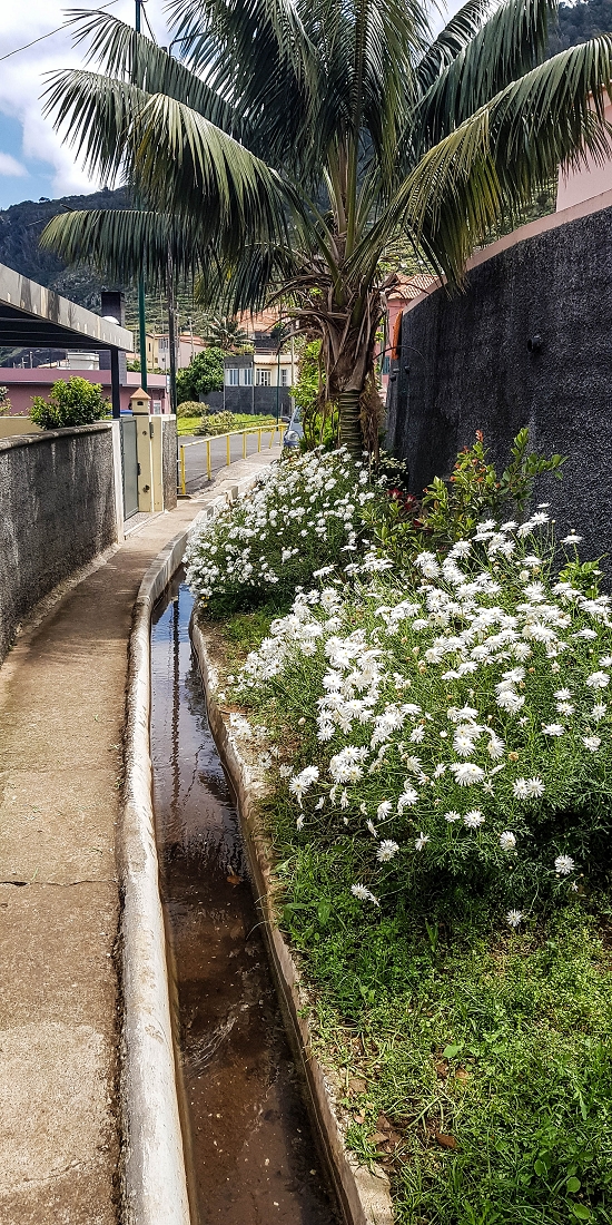 7 May 2019 Circular walk on two levadas around Machico — Back to the Levada das Figueiras — photo 25
