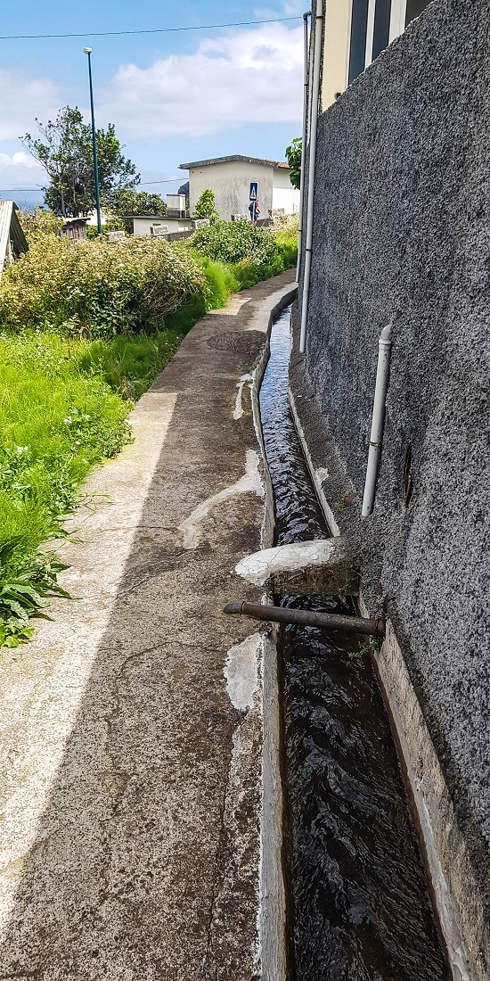 7 May 2019 Circular walk on two levadas around Machico — Back to the Levada das Figueiras — photo 28