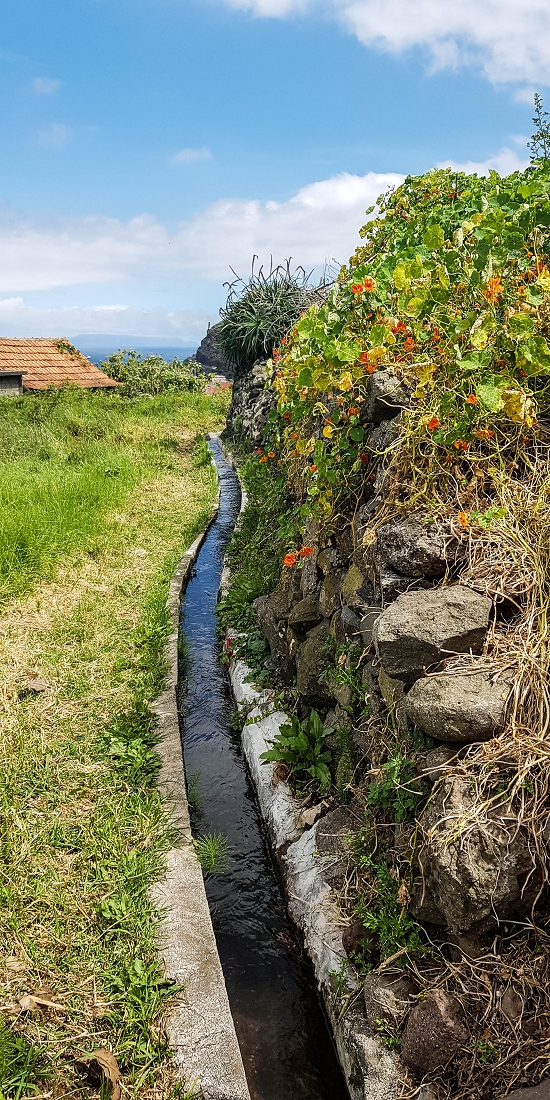 7 May 2019 Circular walk on two levadas around Machico — Back to the Levada das Figueiras — photo 31