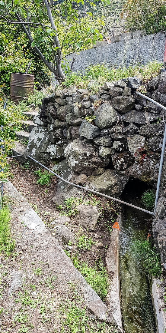 7 May 2019 Circular walk on two levadas around Machico — Back to the Levada das Figueiras — photo 32