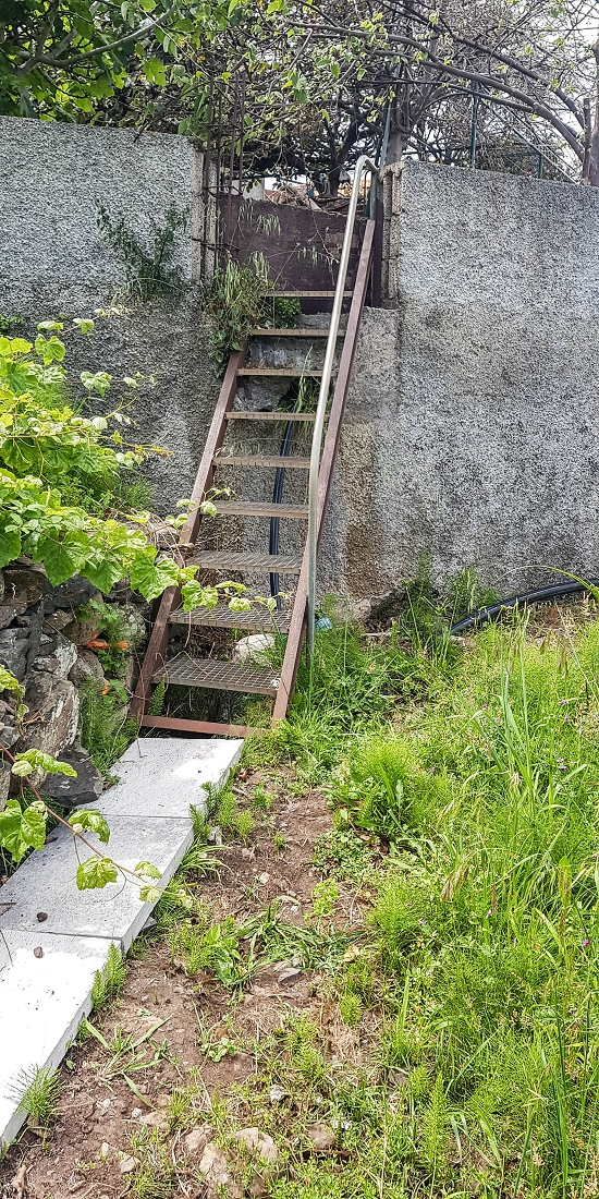 7 May 2019 Circular walk on two levadas around Machico — Back to the Levada das Figueiras — photo 33
