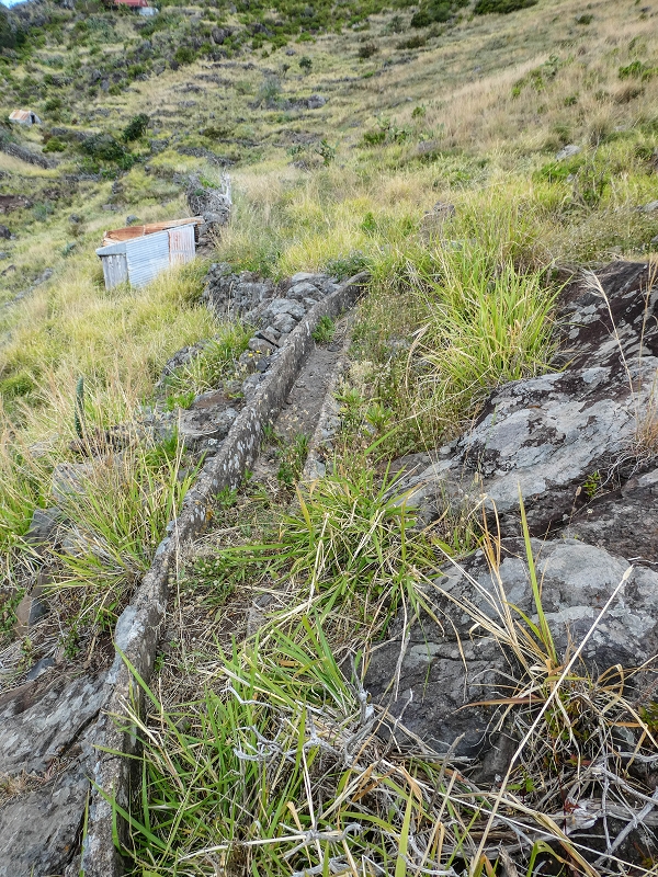 Levada do Desembarcadouro — Abschnitt 5 — Foto 6