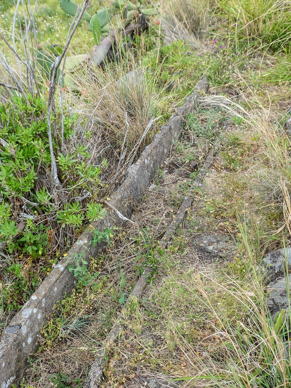 Levada do Desembarcadouro — Abschnitt 5 — Foto 7