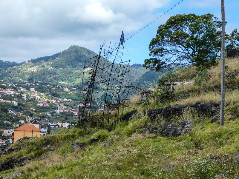 7 May 2019 Circular walk on two levadas around Machico — Back into civilisation — photo 11