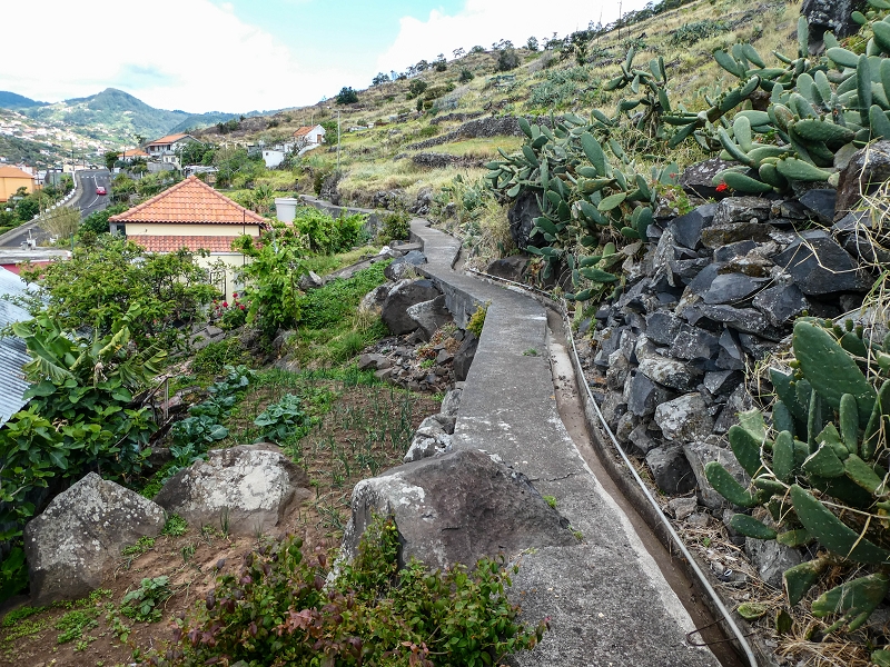 7 May 2019 Circular walk on two levadas around Machico — Back into civilisation — photo 14