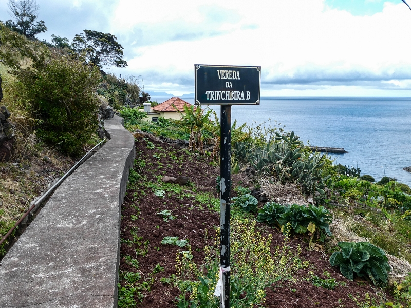 7 May 2019 Circular walk on two levadas around Machico — Back into civilisation — photo 16