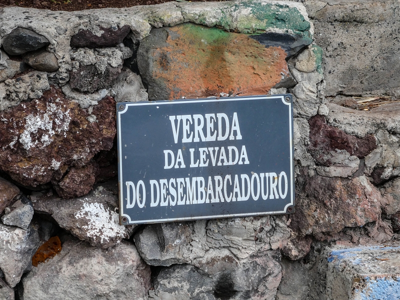 7 May 2019 Circular walk on two levadas around Machico — Back into civilisation — photo 19