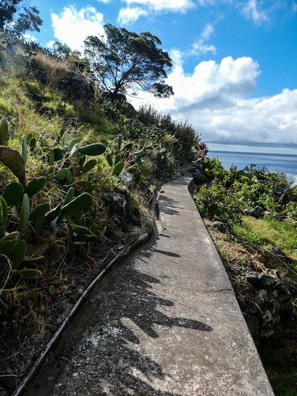 Levada do Desembarcadouro — Abschnitt 4 — Foto 14