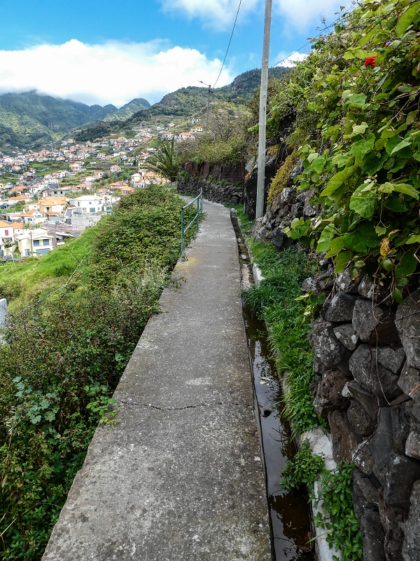 Levada do Desembarcadouro — Abschnitt 4 — Foto 10