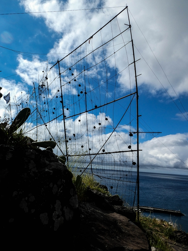 Levada do Desembarcadouro — Abschnitt 4 — Foto 15