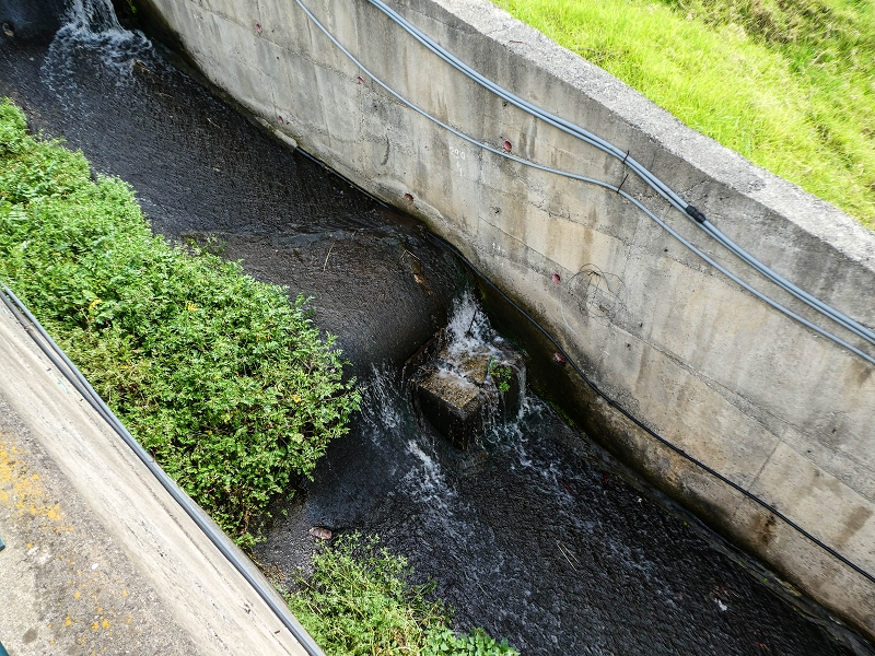 7 May 2019 Circular walk on two levadas around Machico — On to the church of Ribeira Seca — photo 23