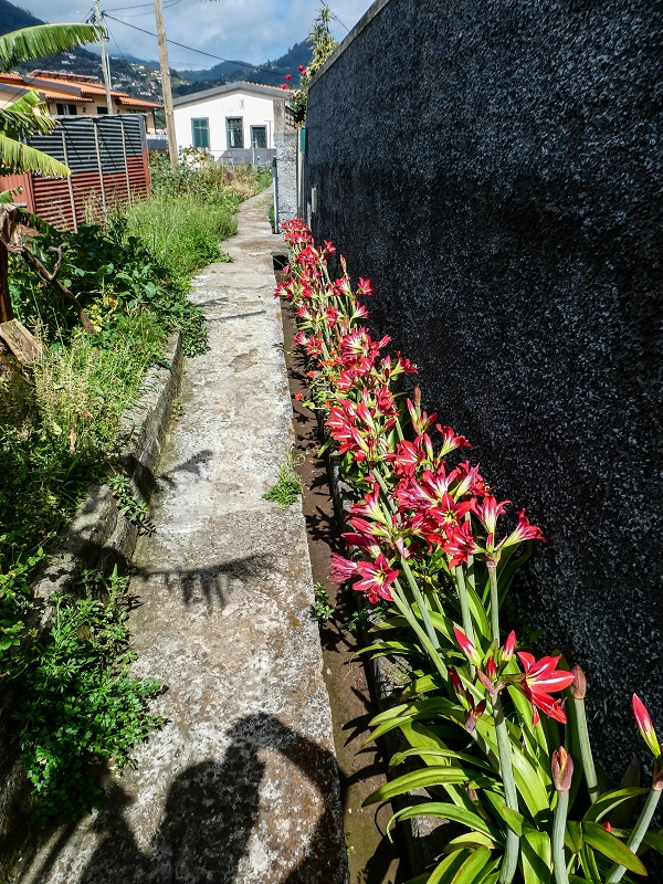 7 May 2019 Circular walk on two levadas around Machico — On to the church of Ribeira Seca — photo 25