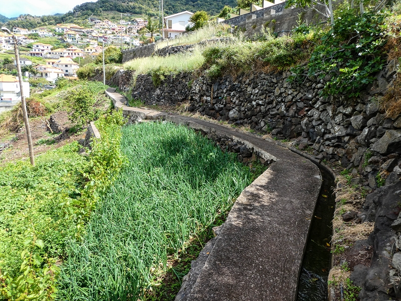 Levada do Desembarcadouro — Abschnitt 4 — Foto 9