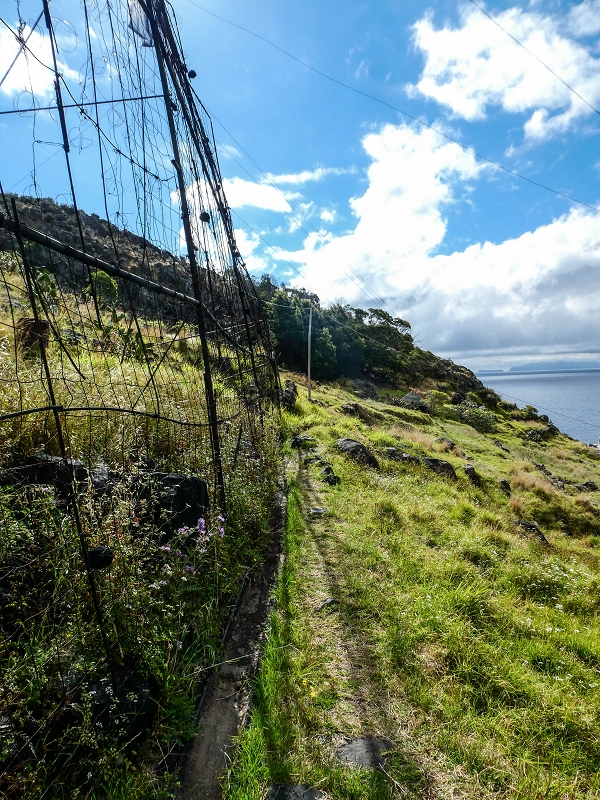 7 May 2019 Circular walk on two levadas around Machico — From Machico to the end at the cliff — photo 7
