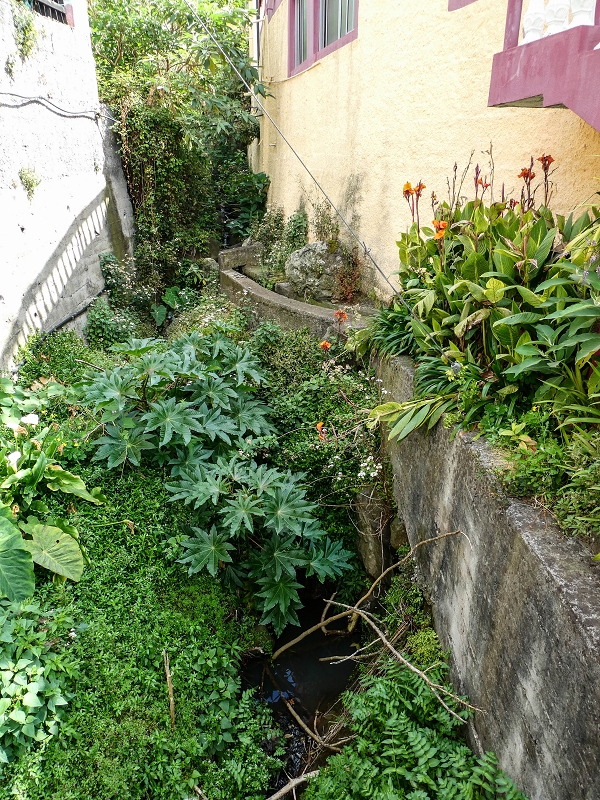 7 May 2019 Circular walk on two levadas around Machico — On to the church of Ribeira Seca — photo 33
